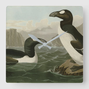 Horloge Carrée Great Auk - John James Audubon's Birds of America