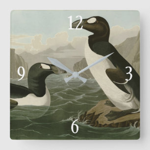Horloge Carrée Great Auk - John James Audubon's Birds of America