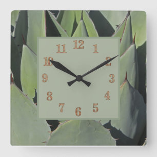Horloge Carrée Green Agave Feuille Botanique Photo Sud-ouest