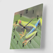 Horloge Carrée Grenouille arboricole colorée (Angle)