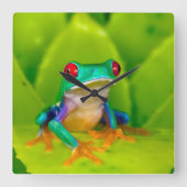 Horloge Carrée Grenouille aux yeux rouges, Costa Rica (Recto)