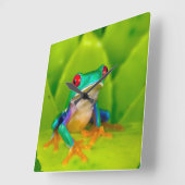 Horloge Carrée Grenouille aux yeux rouges, Costa Rica (Angle)