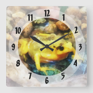 Horloge Carrée Grenouille dorée panaméenne