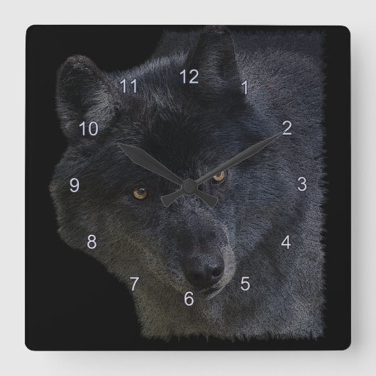 Horloge Carrée Grey Wolf Face Wildlife-Supporter Art Clock (Recto)