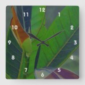 Horloge Carrée Gros plan des Feuilles verts (Recto)