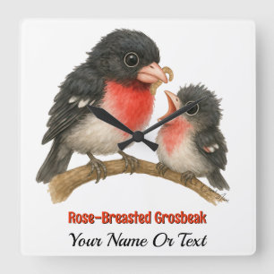 Horloge Carrée Grosbeak à poitrine Rose étonnante