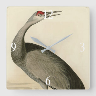 Horloge Carrée Grue de Sandhill d'Audubon's Birds of America