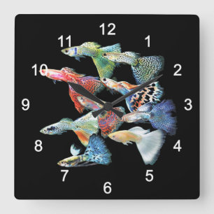 Horloge Carrée Guppies