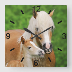 Horloge Carrée Haflinger Horses Cute Foal Kiss Mum / cadran