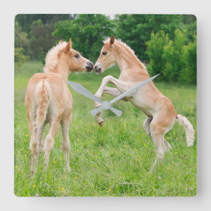 Horloge Carrée Haflinger Horses Cute Foals Élevant Funny acryliqu