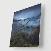 Horloge Carrée Harris échouent le parc d'état | Orégon (Angle)