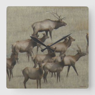 Horloge Carrée Herd Elk E37