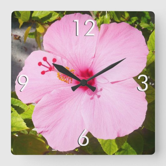 Horloge Carrée Hibiscus rose Fleur tropicale (Recto)