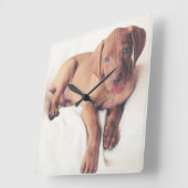 Horloge Carrée Hongrois Vizsla Puppy (Angle)