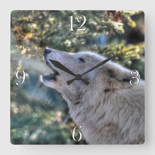 Horloge Carrée Howling Arctic Grey Wolf Portrait (Recto)