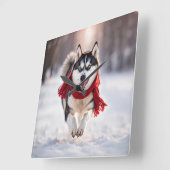 Horloge Carrée Husky Portant Une Écharpe D'Hiver Rouge (Angle)