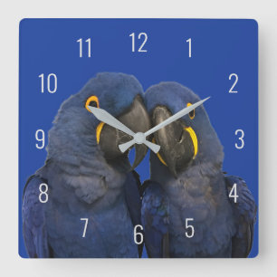 Horloge Carrée Hyacinth Macaw Parrot Bird Rare Blue