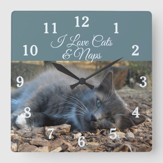 Horloge Carrée I Love Cats et Naps Wall Clock (Recto)