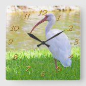Horloge Carrée Ibis Sur Une Jambe Photo (Recto)