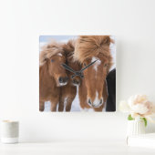 Horloge Carrée Icelandic Horses nuzzle (Maison)