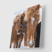Horloge Carrée Icelandic Horses nuzzle (Angle)