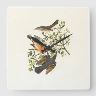 Horloge Carrée Illustration Botanique Vintage d'Oiseaux Carré sur