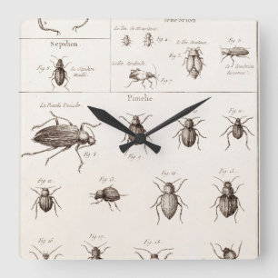 Horloge Carrée Illustration vintage de scarabées d'insectes