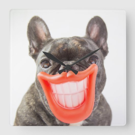 Horloge Carrée Images Getty | Un chien souriant (Recto)