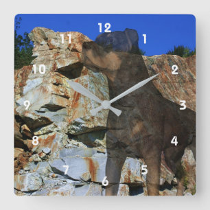 Horloge Carrée Imaginaire Rottweiler Dog Et Rock Wall Cliff