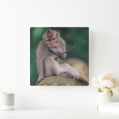 Horloge Carrée Indonésie, Bali, Ubud, Macaque à queue longue 2 (Maison)