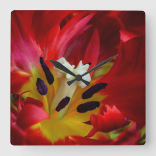 Horloge Carrée Intérieur de la fleur de tulipe perroquet