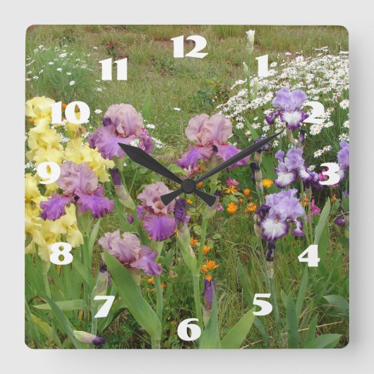 Horloge Carrée Iris Violet Iris Blanc Fleur de jardin Daisy (Recto)