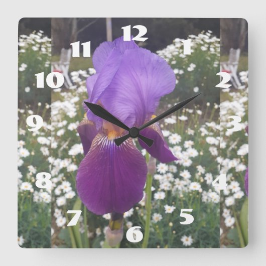 Horloge Carrée Iris Violet Iris Fleur Blanche Jardin Fleur (Recto)