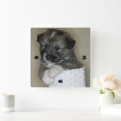 Horloge Carrée Islande-chiot (Maison)