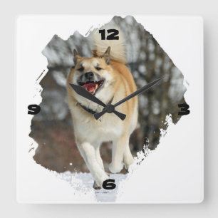 Horloge Carrée Islandhund