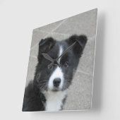 Horloge Carrée Islandhund (Angle)