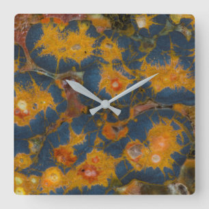 Horloge Carrée Jasper Poppy