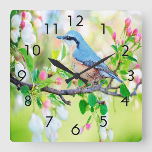 Horloge Carrée Jay bleu printemps (Recto)