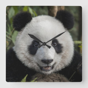 Horloge Carrée Jeune panda heureux, Chine