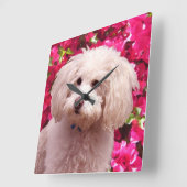 Horloge Carrée Joli caniche (Angle)