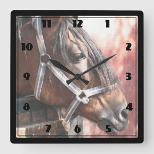 Horloge Carrée Joli Cheval de Baie dans un soleil stable