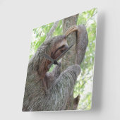 Horloge Carrée Jolie Sloth (Angle)