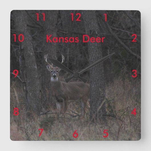 Horloge Carrée Kansas deer (Recto)