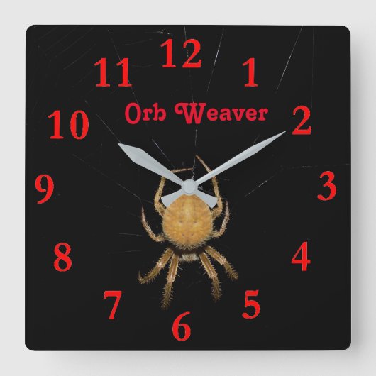 Horloge Carrée Kansas Orb Weaver  Square Clock (Recto)