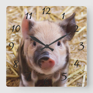 Horloge Carrée Kawaii cute adorable farm baby piglet pig animal