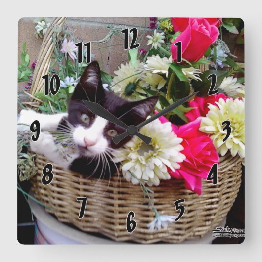 Horloge Carrée Kitten dans un panier (Recto)