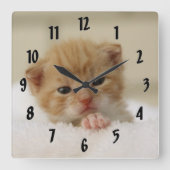 Horloge Carrée Kitten de Tiny (Recto)