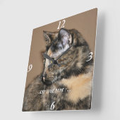 Horloge Carrée Kitties Any Time Now Wall Clock ! (Angle)