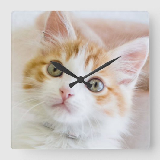 Horloge Carrée Kitty observé par bleu doux (Recto)