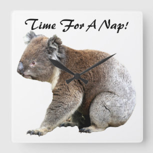 Horloge Carrée Koala